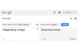 pototoy meaning in philippines|Google Translate.